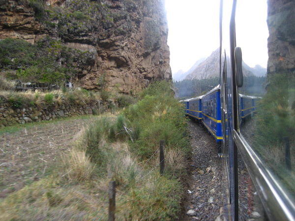 The train to Aguas Calientes