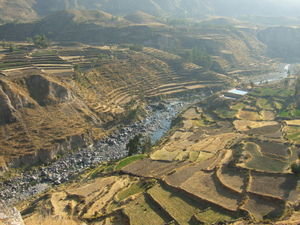 More of those terraces in the Colca Canyon