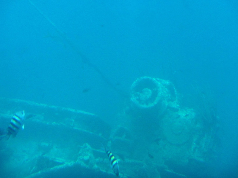 More of the shipwreck.