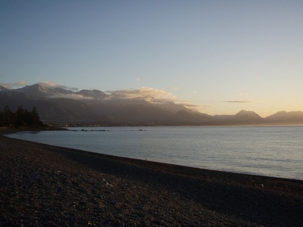 Stranden i Kaikoura