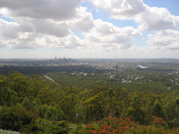 Lookout from Mt. Coot-ha