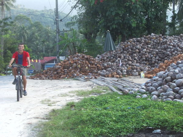 Nick rides past mountains of coconut husks