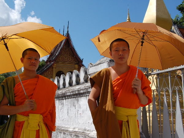 Monks sheltering from the midday heat