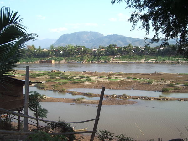 Paddy fields in dry season on Mekong river
