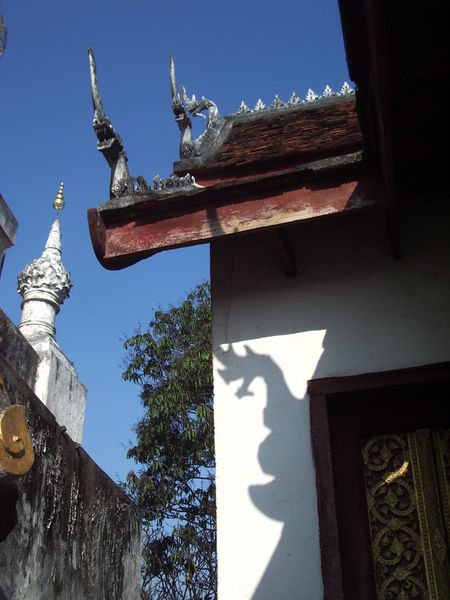 Dragon shadow on temple wall