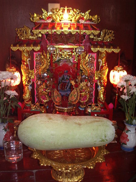 Marrow offering to Buddha