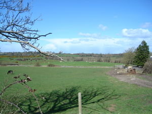 The rolling countryside near the farm