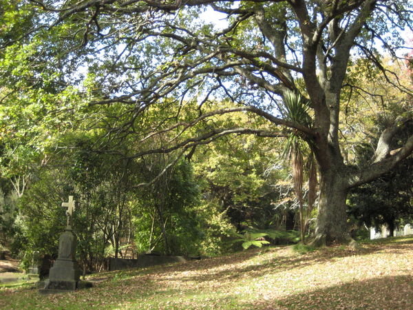 Symonds St Cemetery