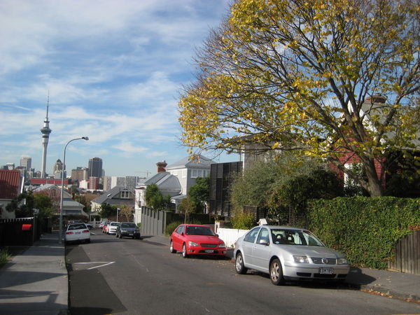 View of Auckland centre from Ponsonby