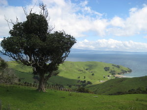 Coastal view, Coromandel Peninsula