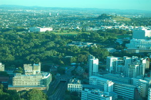 View from Sky Tower over Auckland Domain and Museum