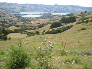 View over the Banks Peninsula