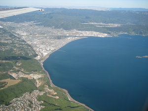 Wellington harbour view from the plane