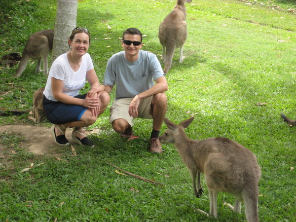 Kangaroos up close! How cute!