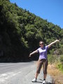 On the road, Waioeka Gorge