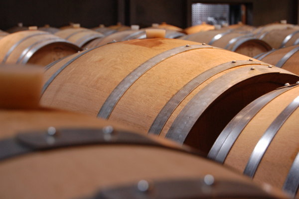 Barrels of wine, Cloudy Bay winery
