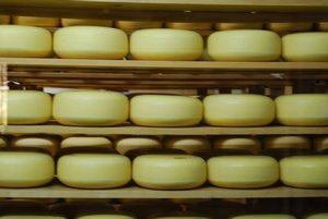 Cheese rounds ready for sale
