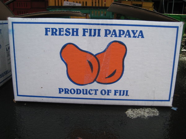 Fijian papaya