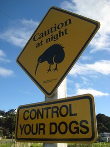 Kiwi road sign