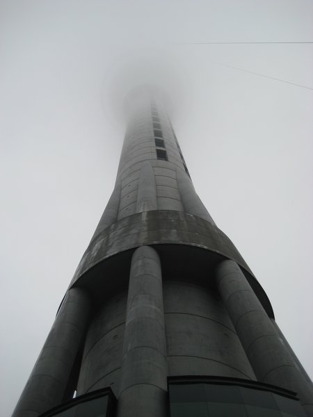 Sky Tower on a foggy day