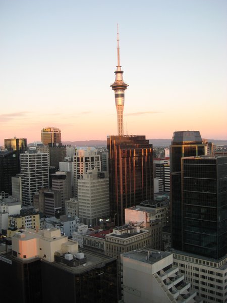 View of the Sky Tower on our last morning