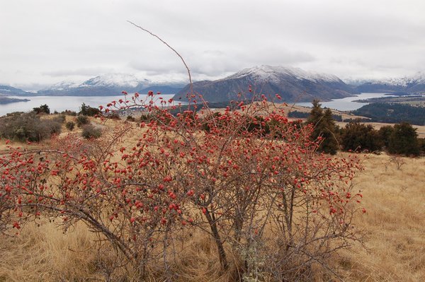 View from Mt Iron over Wanaka