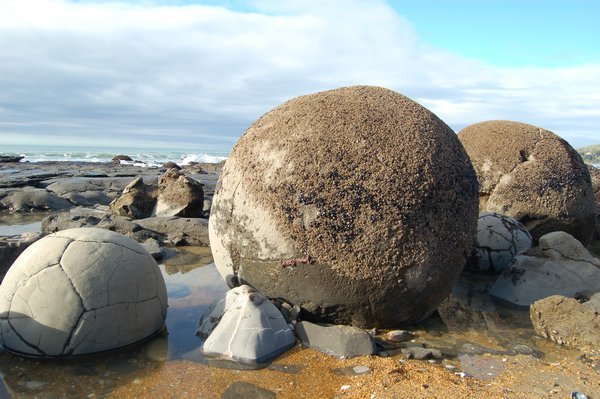 Moeraki Boulders, Oamaru, South Island