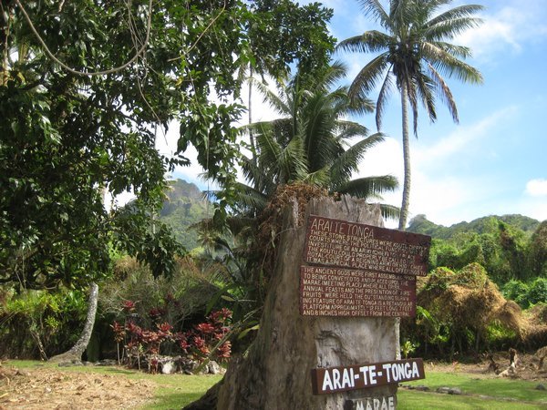 Arai Te Tonga chief site