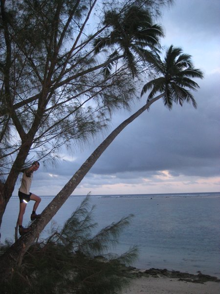 Nick on 45-degree palm tree
