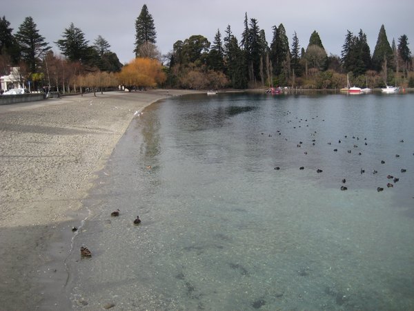 Clear, clear water in Queenstown