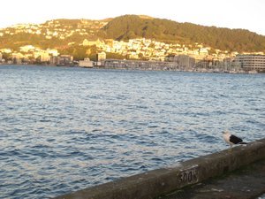 Dusk settles over the Bay of Wellington