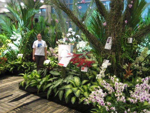 Tropical garden display