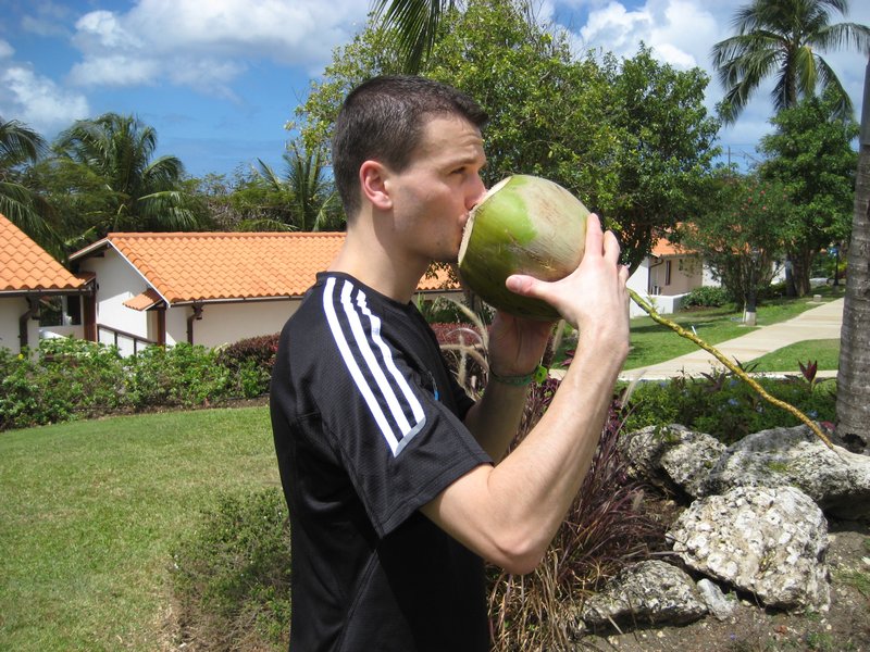 Coconut refreshment