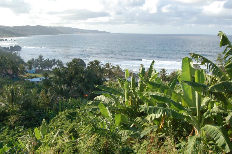 View over St. Martin's Bay, East coast