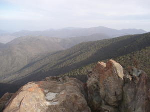 Pico views