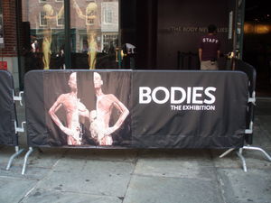 Bodies Exhibition