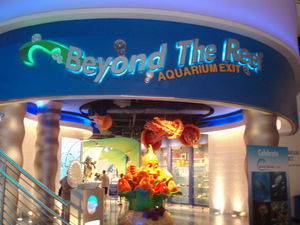 Inside the aquarium