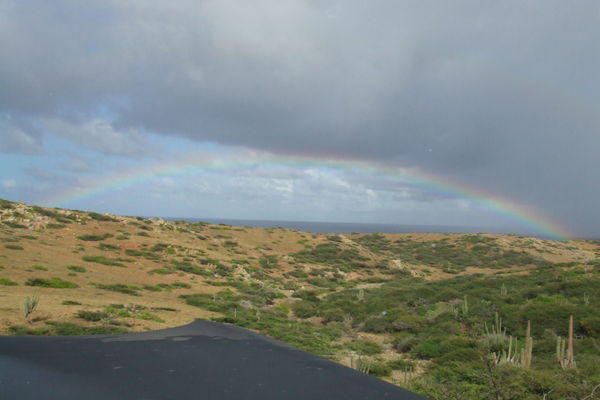 Aruba Vista