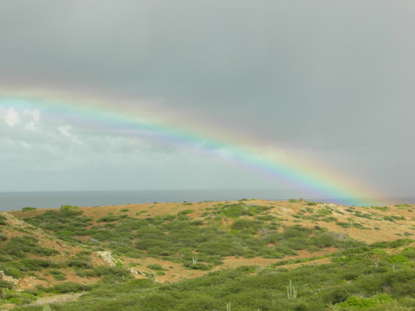 Aruba Vista