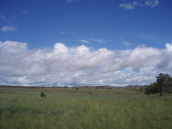 Guyana plains