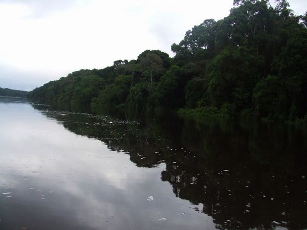 Essequibo river shots 1