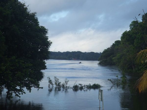 Essequibo river 