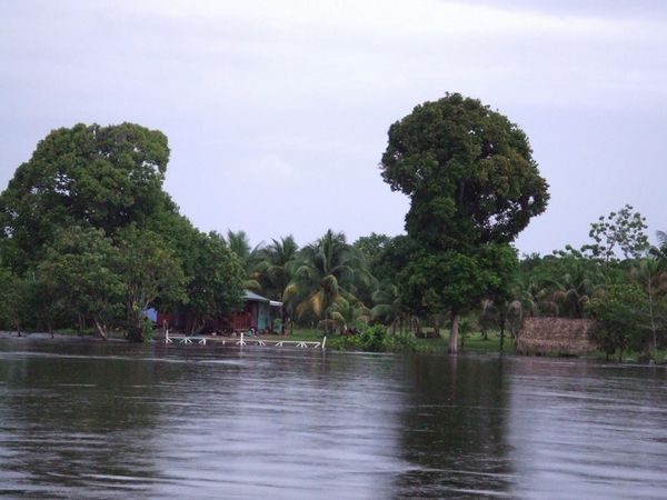 Morning view on Essequibo River
