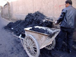 Coal transport