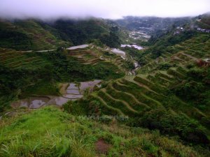 Ifugao terraces