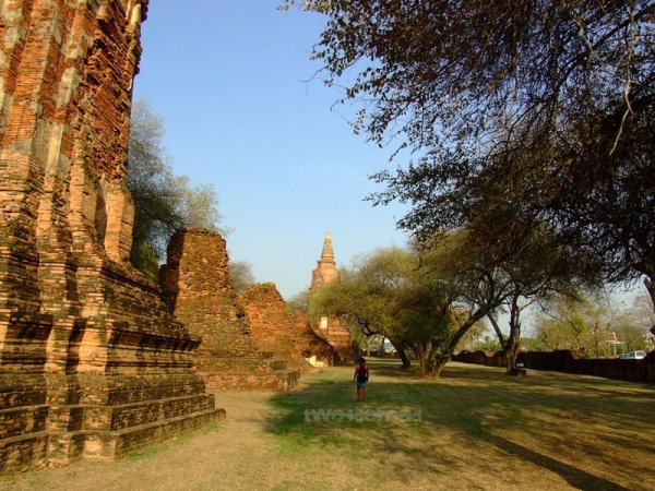 Wat Rachaburana compound