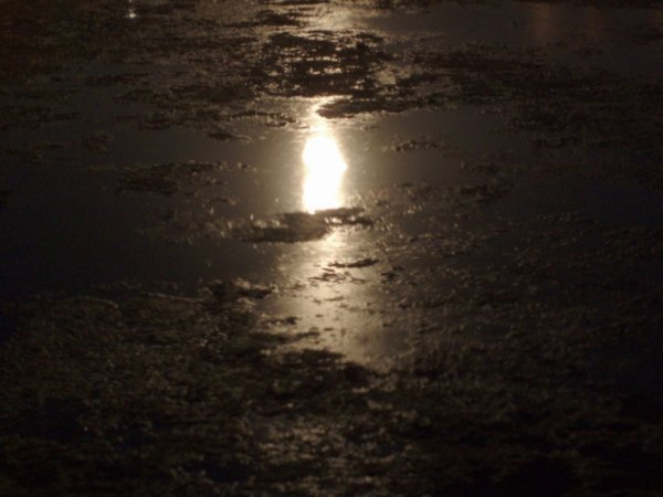 Moonlight on Pichola