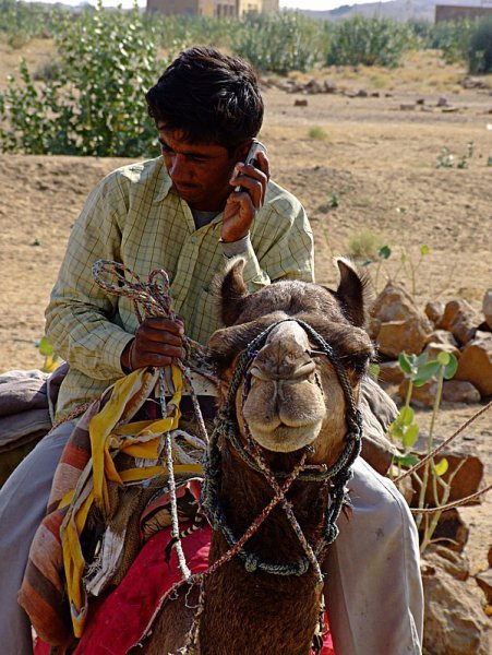 Camel call