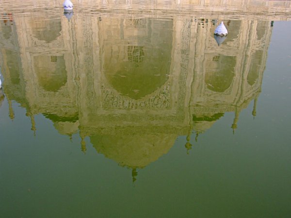 Taj reflected