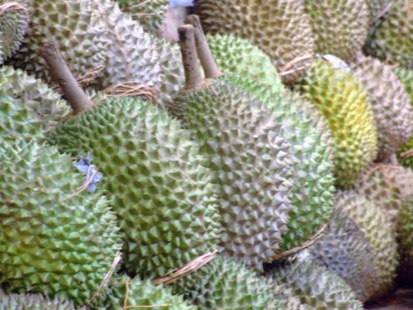 Durian the skunk among fruits
